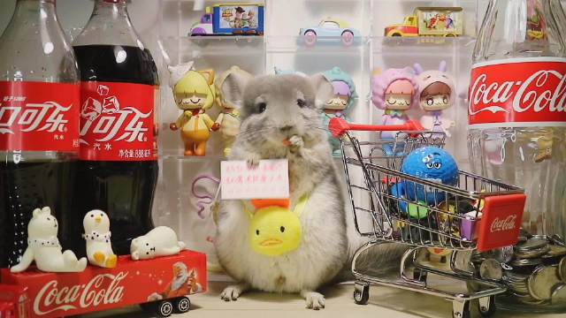 龙猫 可乐主题阿发~ 做个快乐的肥宅崽崽...